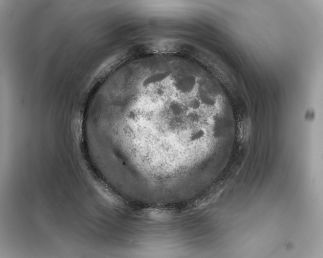X0000102020733200808011423