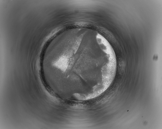 X0000102020734200808011423