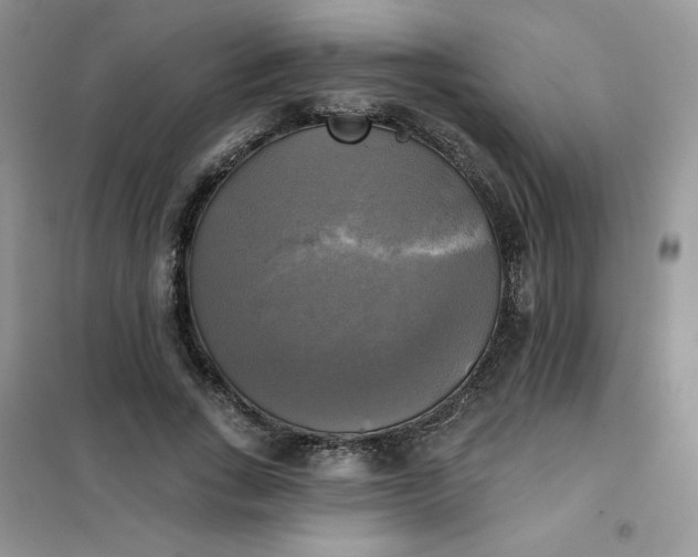 X0000102020735200808011423