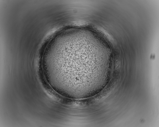 X0000102020736200808011423
