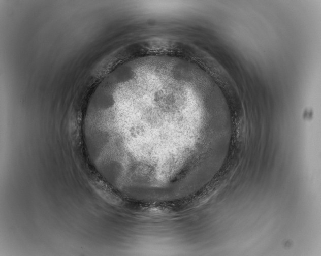 X0000102020737200808011423