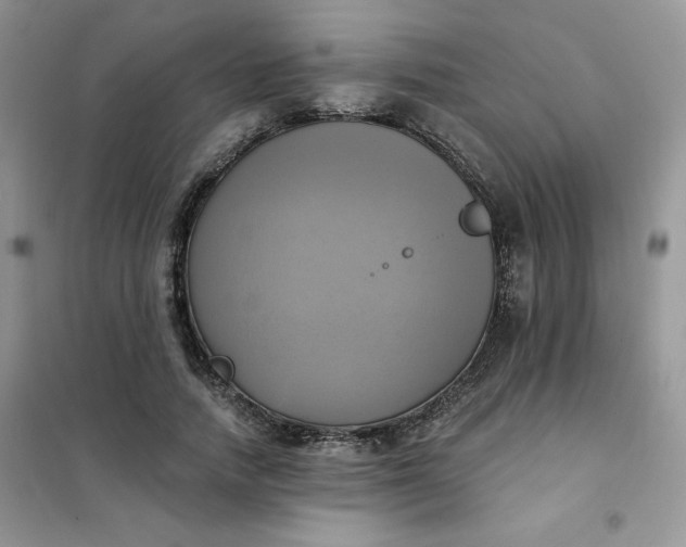 X0000102020738200808011423