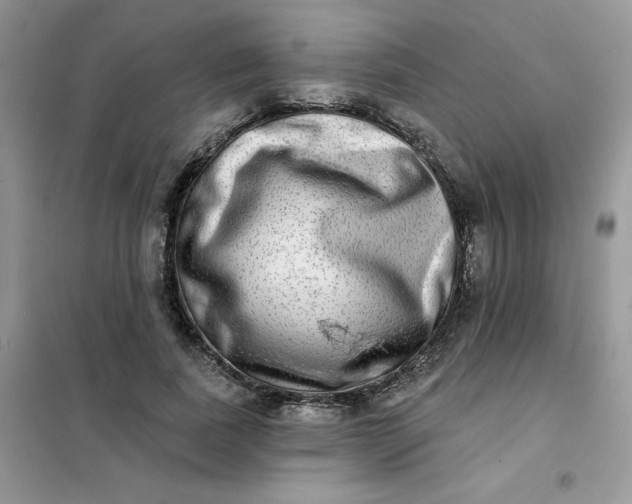 X0000102020739200808011423