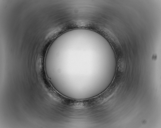 X0000102020740200808011423