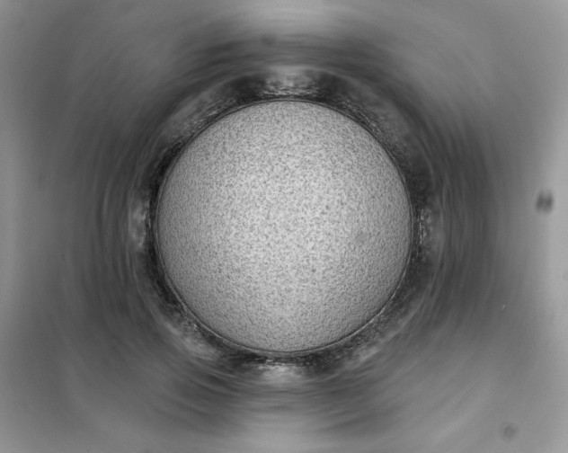X0000102020741200808011423