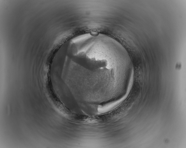 X0000102020742200808011423