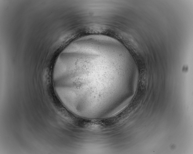 X0000102020743200808011423