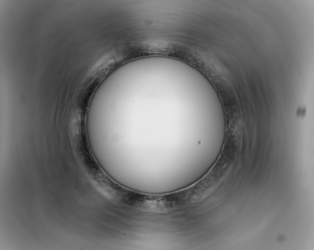 X0000102020744200808011423