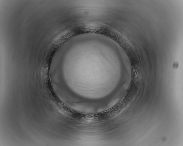 X0000102020745200808011423