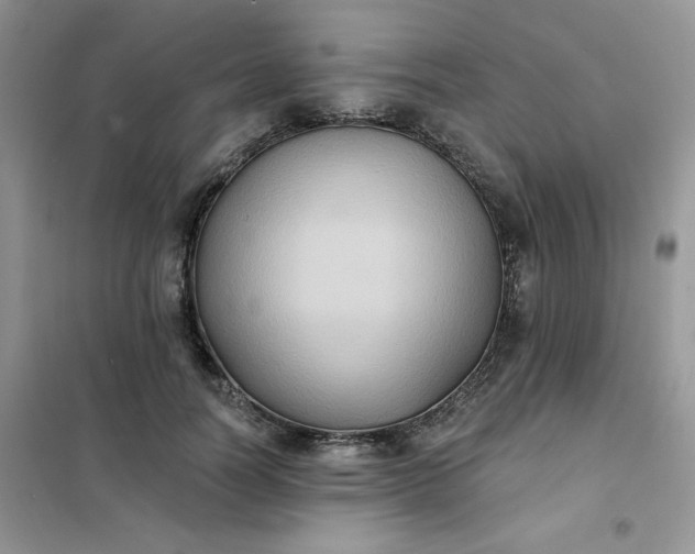 X0000102020746200808011423