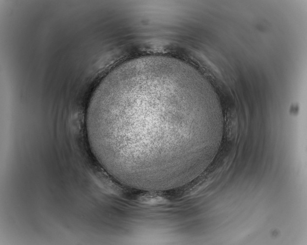 X0000102020747200808011423