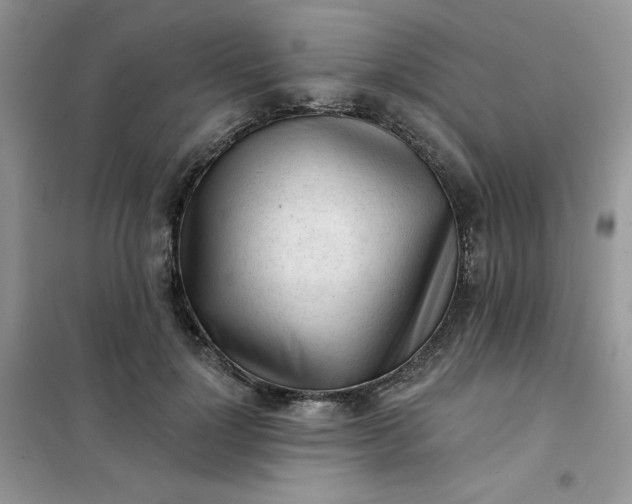 X0000102020748200808011423