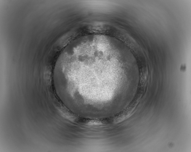 X0000102020749200808011423