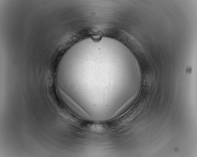 X0000102020751200808011423