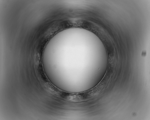 X0000102020752200808011423