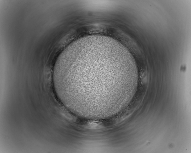X0000102020753200808011423