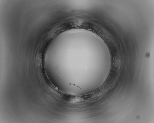X0000102020754200808011424