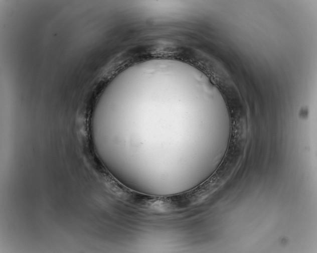 X0000102020755200808011424