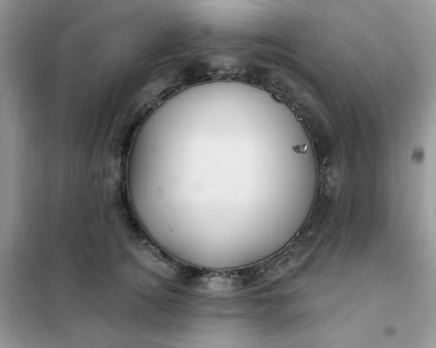 X0000102020756200808011424