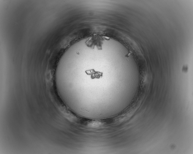 X0000102020759200808011424