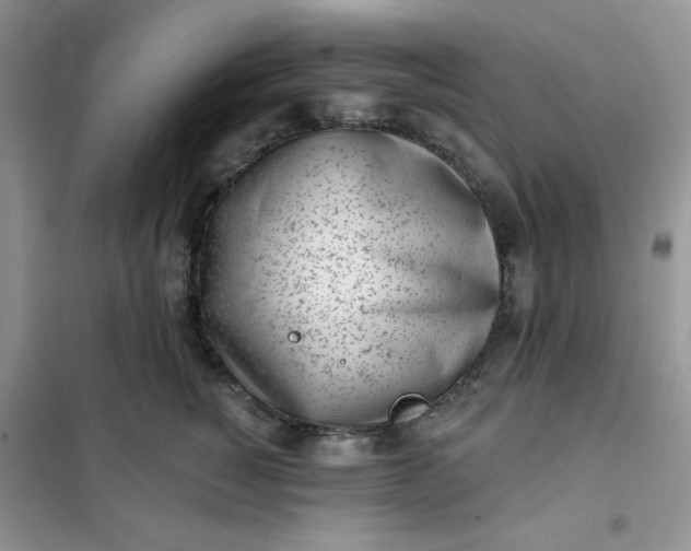 X0000102020760200808011424