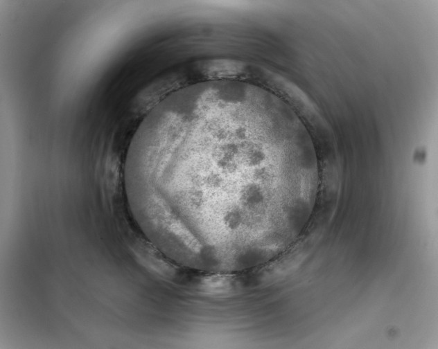 X0000102020761200808011424