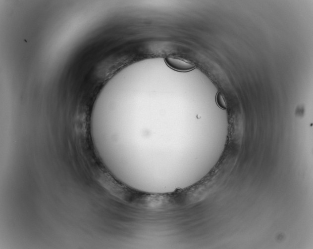 X0000102020762200808011424