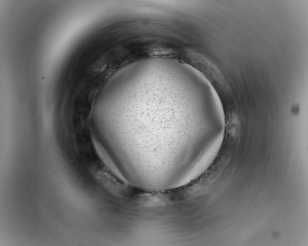 X0000102020763200808011424