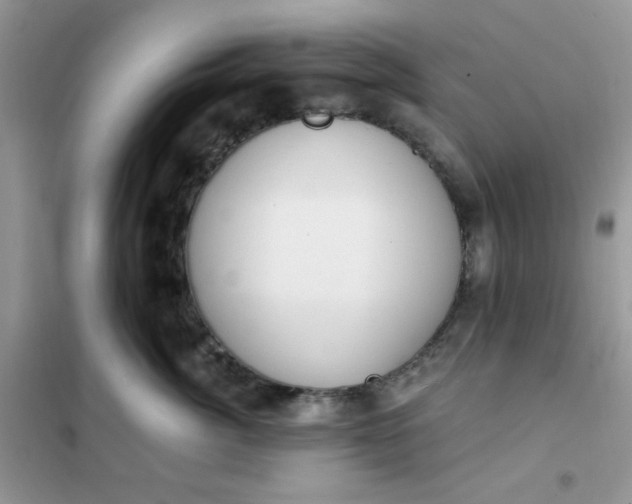 X0000102020764200808011424