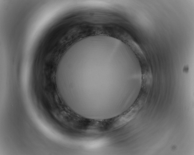 X0000102020765200808011424