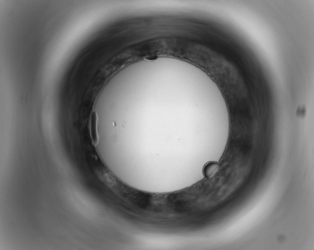 X0000102020766200808011424
