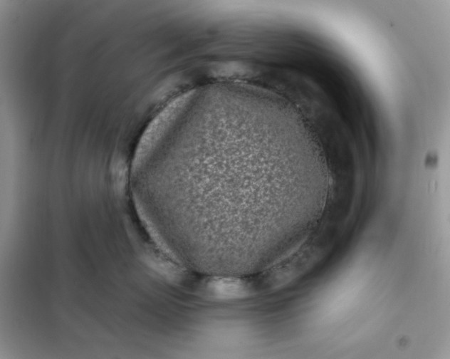 X0000102020767200808011424