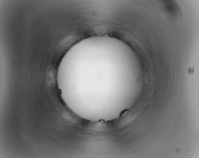 X0000102020768200808011424
