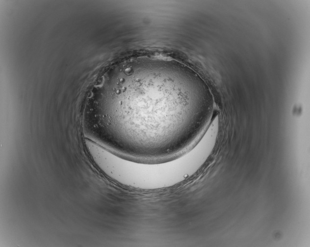 X0000102020769200808011423