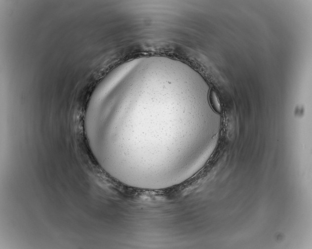 X0000102020770200808011423