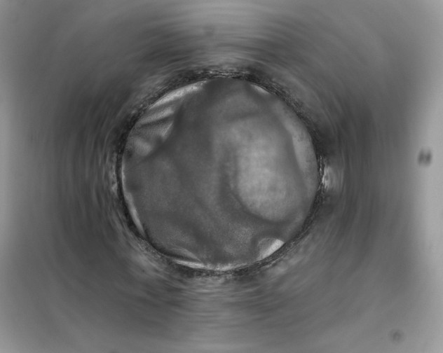 X0000102020771200808011423