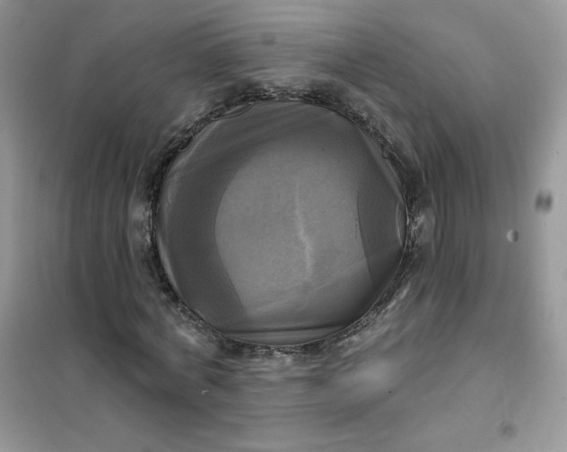 X0000102020772200808011423