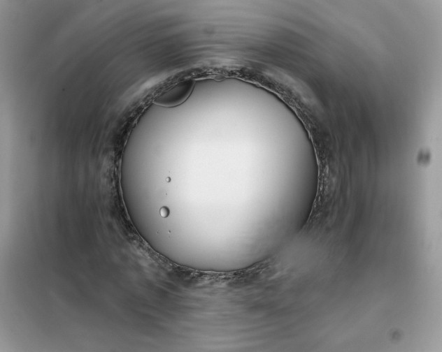 X0000102020773200808011423