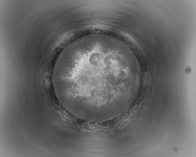 X0000102020774200808011423