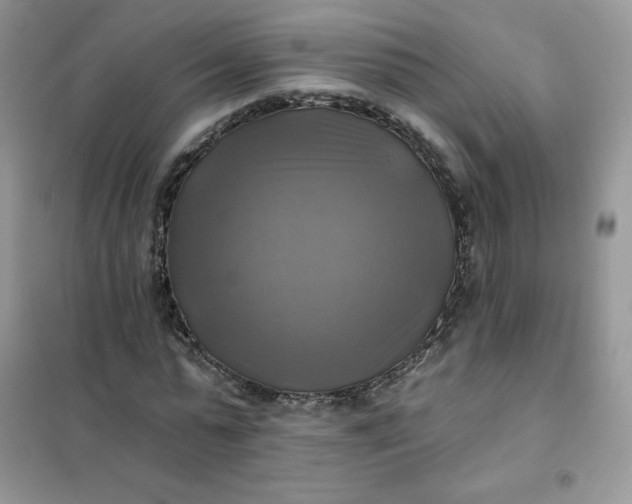 X0000102020775200808011423