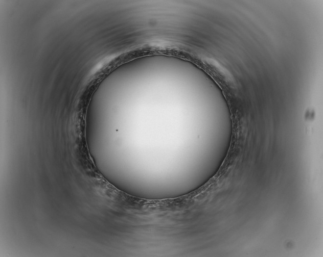 X0000102020776200808011423