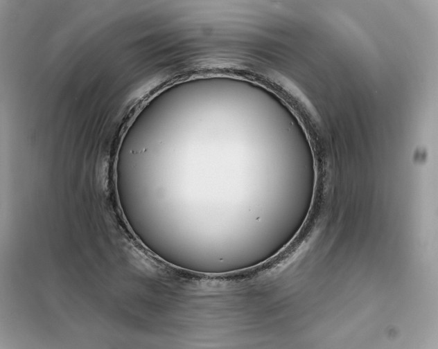 X0000102020777200808011423