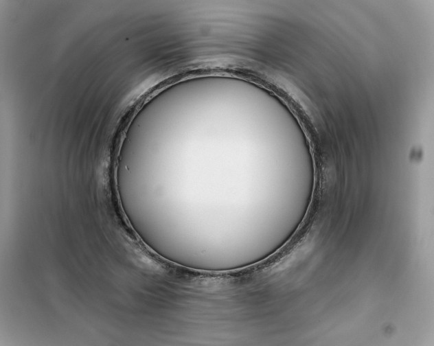 X0000102020778200808011423