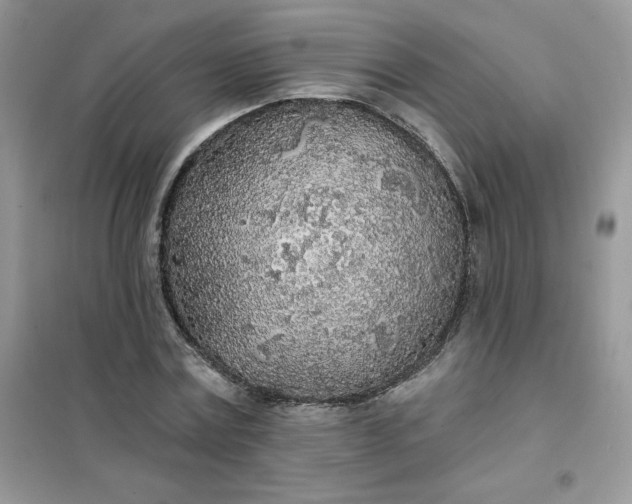 X0000102020779200808011423