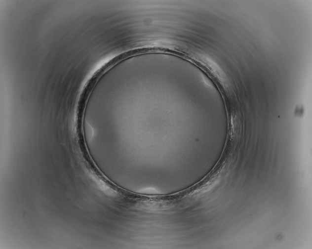 X0000102020780200808011423