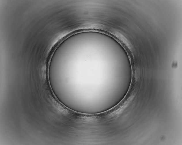 X0000102020781200808011423
