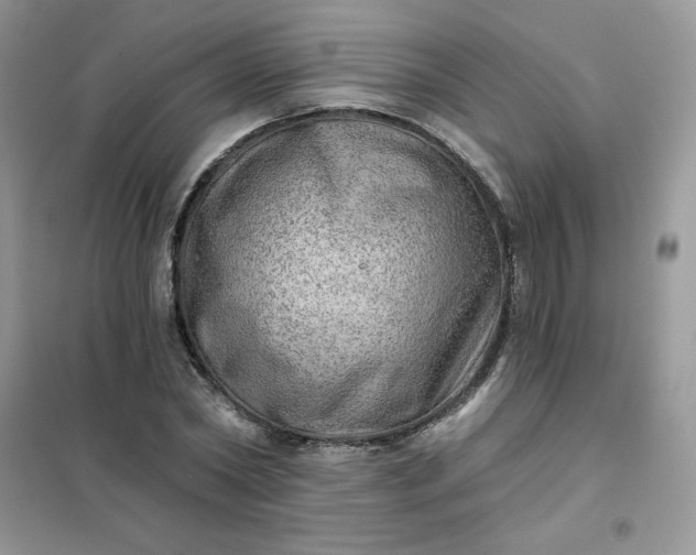 X0000102020782200808011423