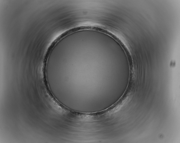 X0000102020783200808011423