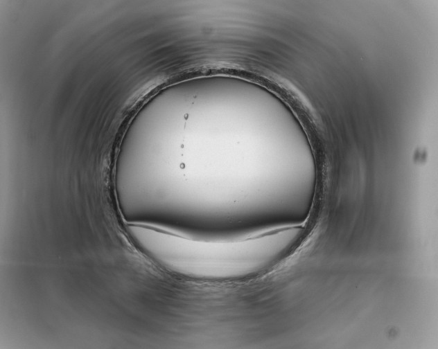 X0000102020785200808011423