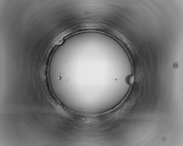 X0000102020786200808011423